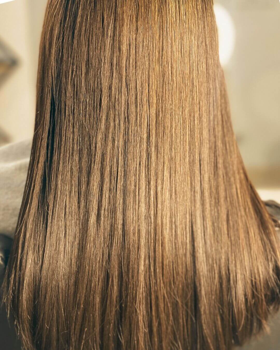 Corte